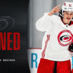 NHL – Deux joueurs de Malmö signent aux Hurricanes