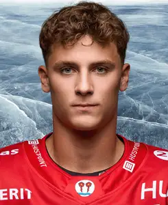 Jan Hornecker