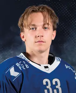 Ludvig Johnson