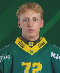 Mikaël Slehofer