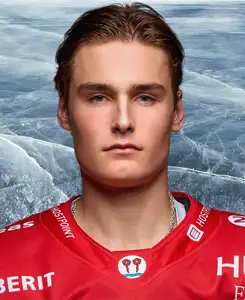 Robin Bisig