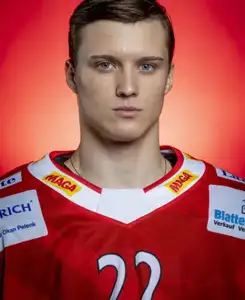 Tomas Vlcek