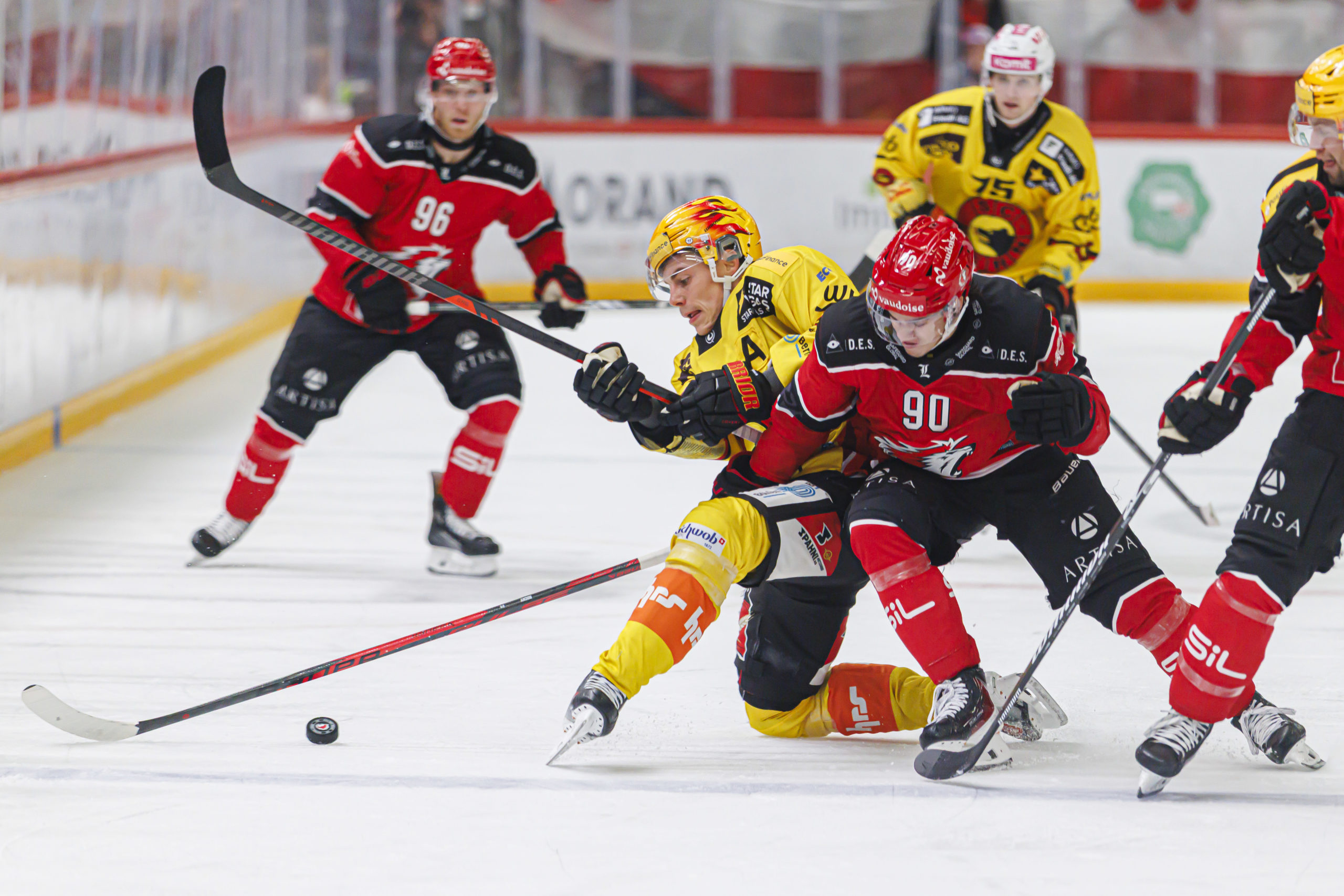 NATIONAL LEAGUE – Les Lions ont dominé des «Oursons improductifs»