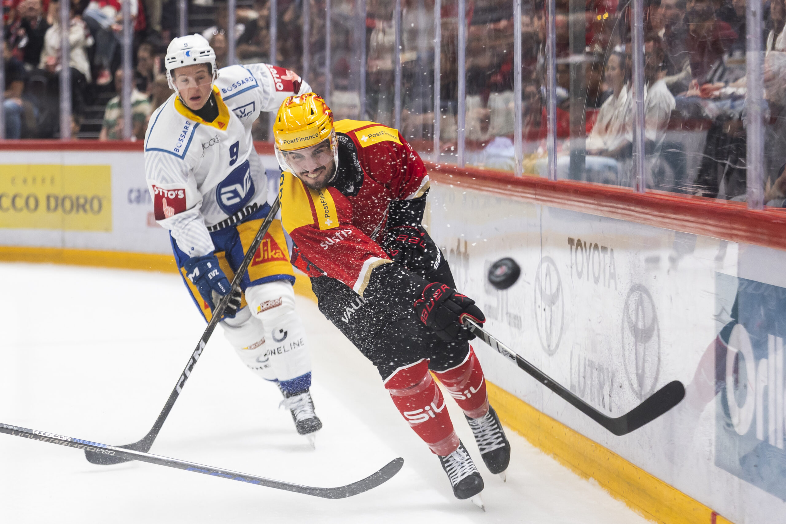 ▶️ NATIONAL LEAGUE – Les images du match SCL Tigers vs Lausanne
