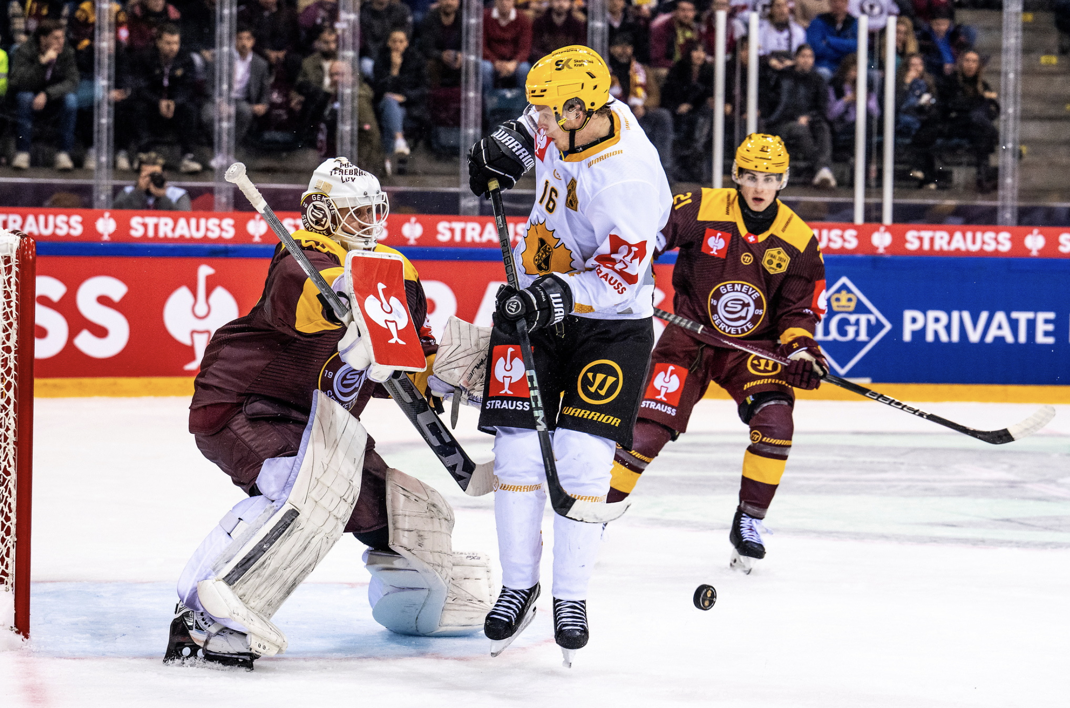 CHAMPIONS HOCKEY LEAGUE – Genève face à Skellefteå: comme un parfum de revanche