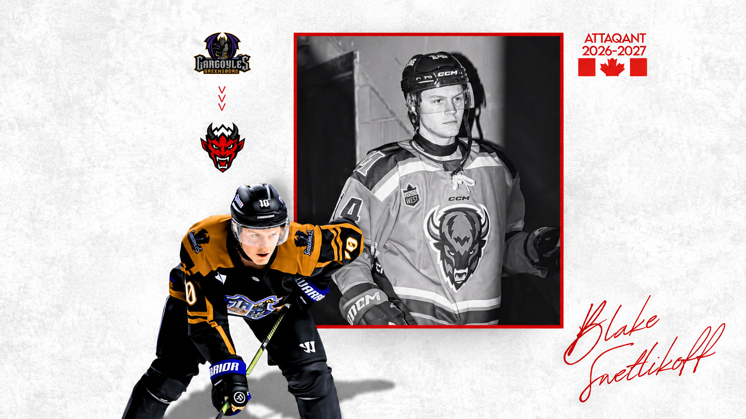 LIGUE MAGNUS – Blake Swetlikoff rejoint les Diables Rouges de Briançon
