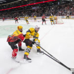 ▶️ NATIONAL LEAGUE – Les images du match Lausanne vs Ajoie