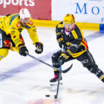 NATIONAL LEAGUE – En battant Ajoie, Berne redevient un  concurrent à prendre au sérieux